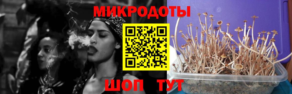 Галлюциногенные грибы GOLDEN TEACHER Каменск-Уральский