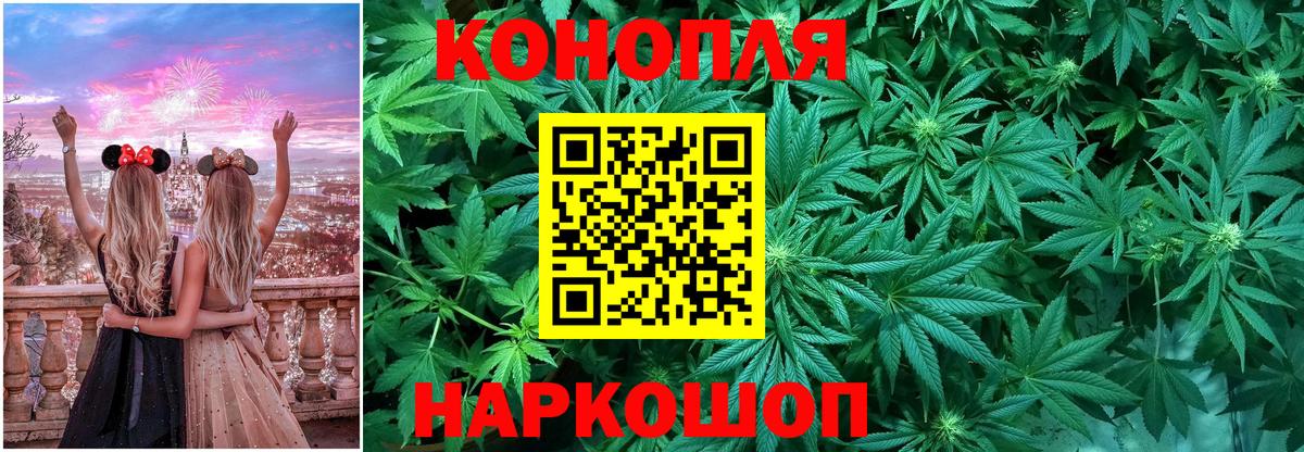 Конопля план  Конопля ГИДРОПОН  Каменск-Уральский  Каннабис планчик  Вход с VPN 